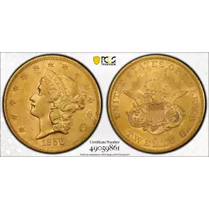 Double Eagle---Liberty Head 1849-1907 -Gold- 20 Dollar