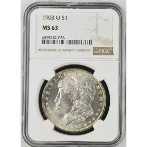 Morgan Silver Dollar (1878-1921) (2)