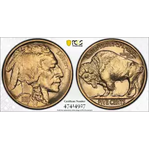 Nickel Five Cent Pieces-Indian Head or Buffalo