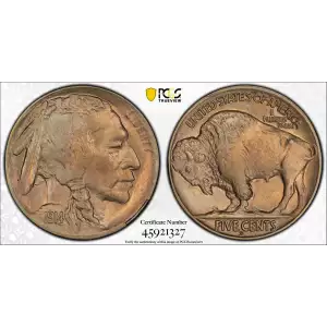 Nickel Five Cent Pieces-Indian Head or Buffalo (2)